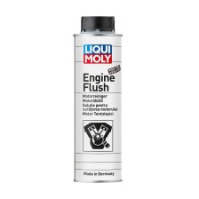 Special TEC AA 0W-20 engine oil + Engine Flush 0.3L - 2