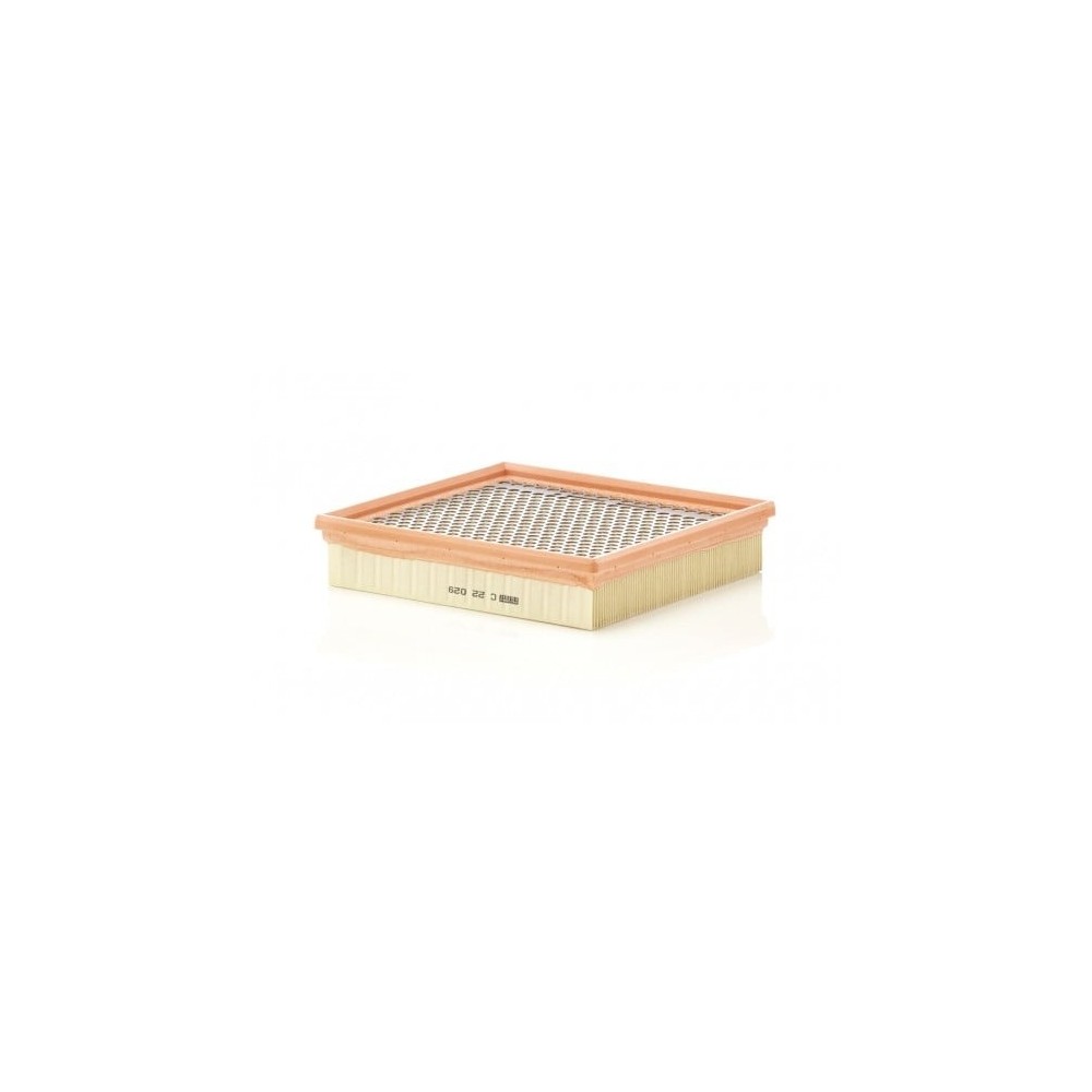 Luftfilter MANN-FILTER C 22 029