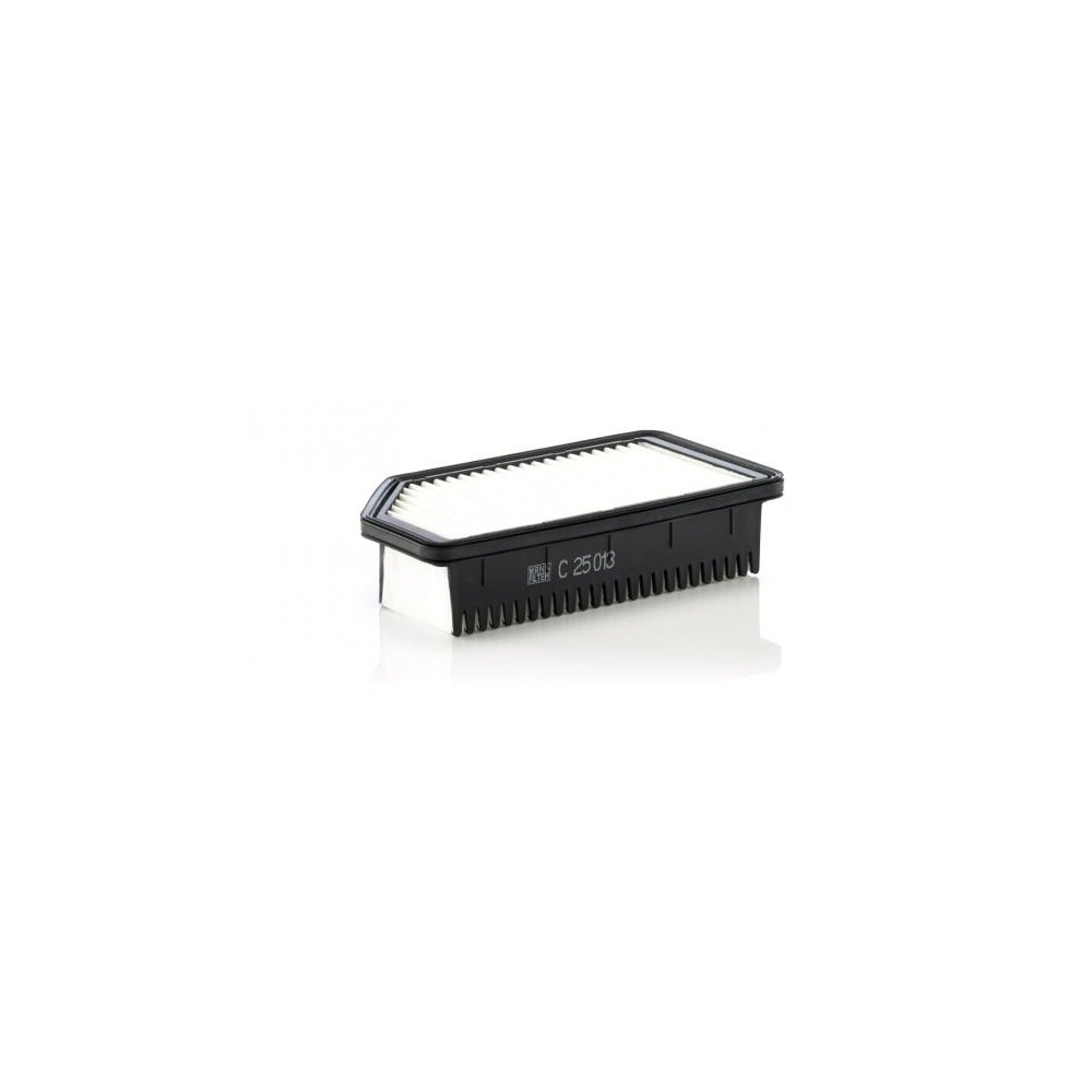 Luftfilter MANN-FILTER C 25 013